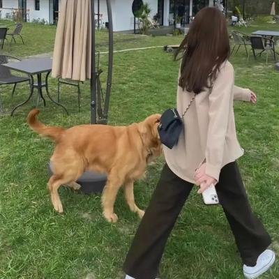战栗追杀